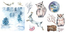 Set Of Hare, Owls And Winter Landscape Watercolor Illustration Isolated On White Background.