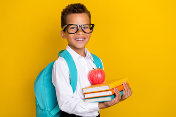 Portrait of intelligent friendly boy arms hold pile stack book apple isolated on yellow color background