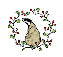 Vector Card With Hand Drawn Sweet Sitting Badger In Floral Barberry Wreath. Ink Drawing, Graphic Style. Perfect Design Elements, Animal Illustration