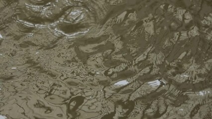 Wall Mural - Water Drops Falling in the Rain Puddle