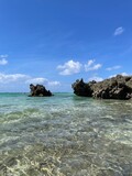 Fototapeta Las - 沖縄の青い空と海
