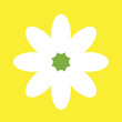 © Анна Мудревская - One white chamomile on a yellow square background