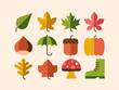 Autumn icon set. Collection of flat vector illustrations with leaves, chestnut, pumpkin, acorn, oak nut, mushroom, umbrella, boot, oak leaf, maple leaf, poplar leaf, plane tree leaf, chestnut leaf.