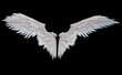 3D render of fantasy angel wings