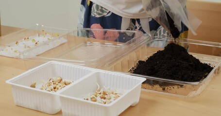 Sticker - Planting vegetable with recycle plastic tray at home for mini garden