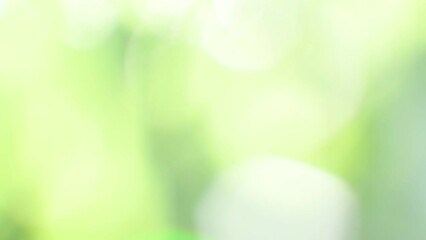 Aufkleber - nature green bokeh moving background