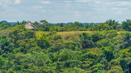 Wall Mural - Indian huts in the Amazon rainforest