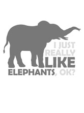 Zitat Really Like Elephants 