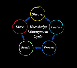 Components of Knowledge Management Cycle