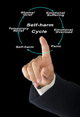 Sticker - Self -harm Cycle.