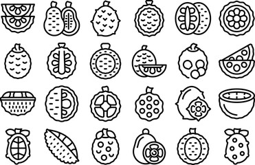 Wall Mural - Jackfruit icons set outline vector. Vegan peeled. Tropical fruit
