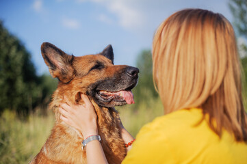 German shepherd and a girl