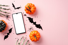 Halloween Concept. Top View Photo Of Pumpkins Smartphone Bat Silhouettes Skeleton Hands Spiders Centipede And Confetti On Isolated Pastel Pink Background With Copyspace