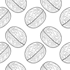 Wall Mural - Walnut seamless pattern. Linear Walnut Seamless pattern, background for print. Nut background. vector illustration.