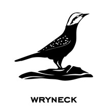 Wryneck Concept Logo Isolated On White Background. Wryneck Sign. Minimalistic Bird Icons Vector Illustration