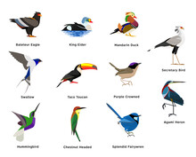 Set Of Birds , Bateleur Eagle , King Eider , Mandarin Duck , Secretary , Swallow , Toucan , Purple Crowned , Hummingbird , Chestnut Headed , Splendid , Heron