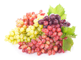 Canvas Print - Red and white table grapes, wine grapes.