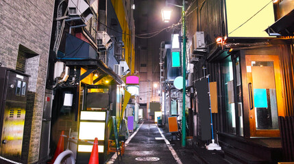 Naklejka na meble 北海道札幌市のすすきのライラック通り、歓楽街の夜景
