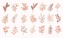 Set Of Modern Line Art Floral Elements.hand Draw Florals