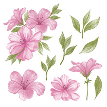 Set Of Pink Flowers