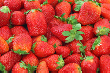 Wall Mural - Strawberries at a farmers market