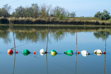 casal borsetti and porto corsini adriatic coast ravenna ferrara regional park of the po delta