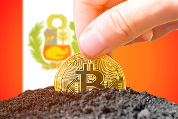 Legalization of bitcoins in Peru. Planting a Bitcoin in the ground on the background of the flag of Peru. Peru - investment in cryptocurrency