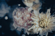 © shironagasukujira - シックな花の背景　スタイリッシュな花のカード　ダークな色合い　ビンテージ