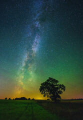 Wall Mural - Night landscape with colorful Milky Way and an Oak tree