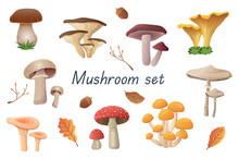 Mushrooms 3d Realistic Set. Bundle Of Cep, Russula, Golden Chanterelle, Champignon, Boletus, Fly Agaric, Oyster Mushrooms And Other Edible Or Non-edible Fungus Isolated Elements.Vector Illustration