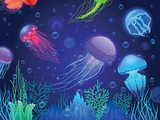 Jellyfish background. Cartoon colorful transparent glowing underwater creatures floating together. Vector colorful poison sea jellyfish animals wallpaper