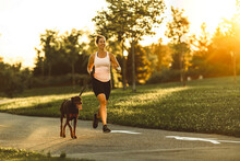 Runner And Dog On Field Under Golden Sunset Sky In Evening Time.