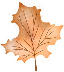 Wall Mural - Autumn Hand Drawn Textured Leaf