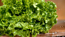 Green Lettuce Leaves On The Table