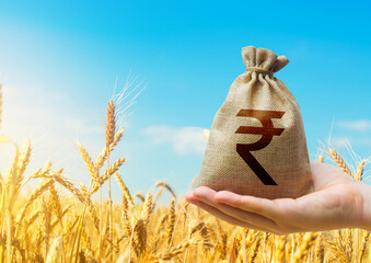 Wheat field and indian rupee money bag. Agroindustry and the agricultural business. World hunger. World food security crisis, high prices. Grains deficits, livestock feed. Starvation and famine