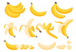 © Igor - Set of bananas. Tropical yellow fruits. Peeled, cut, banana peel. Vector illustration