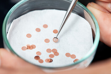 Petri dish with transmission electron microscopy grids to place samples