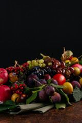 still life of autumn fruits and berries on a dark background