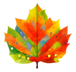 Wall Mural - Isolated colourful autumn leaf, digital illustration