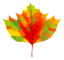 Wall Mural - Isolated colourful autumn tree leaf, digital illustration