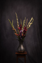 Classic Renaissance Still Life Of Colorful Gladiolus Flowers In Vase On Stool