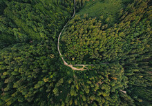 Wide Angle Aerial Photo By Drone (top View) Of Amazing Green Forest With Curved Road (way). Colorful And Saturated Image Of Path In Nature From Above.