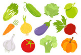 Fototapeta Kuchnia - Doodle vegetables set. Color vector illustration.