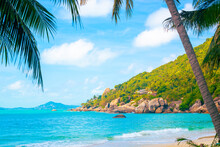 Tropical Landscape. Blue Sea With Palm Trees On The Shore And A Green Hill In The Background. Travel And Tourism