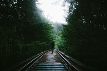 Rear View Of Man Walking On Railway Tracks Amidst Trees
