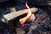 Close-up Of Campfire In Forest