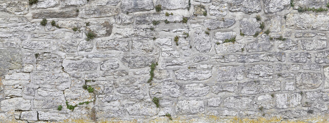 Wall Mural - Beautiful rustic stone wall, overgrown, close-up.