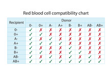 Red Blood Sell Compatibility Chart. Recipient And Donor Blood Groups