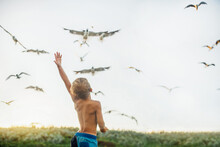 Rear View Of Shirtless Boy Looking At Seagulls Flying While Standing At Grassy Field