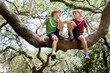 © Cavan Images - Low angle view of brothers sitting on branch at park